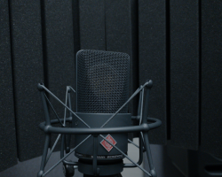 Neumann TLM 103 Microphone